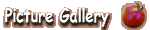 Picture Gallery
