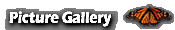 Picture Gallery