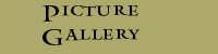 Picture Gallery