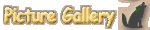 Picture Gallery
