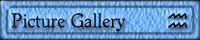 Picture Gallery