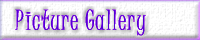 Picture Gallery