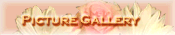 Picture Gallery
