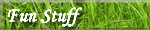 Fun Stuff
