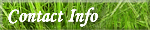 Contact Info