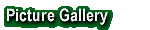 Picture Gallery