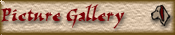 Picture Gallery