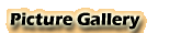 Picture Gallery