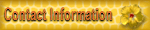 Contact Info
