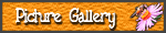 Picture Gallery