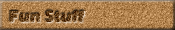 Fun