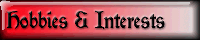 Interests & Hobbies
