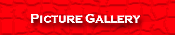 Picture Gallery