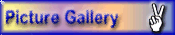 Picture Gallery