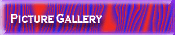 Picture Gallery
