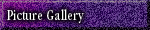 Picture Gallery