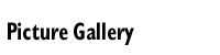 Picture Gallery