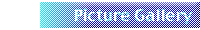 Picture Gallery