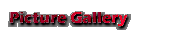 Picture Gallery