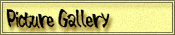 Picture Gallery