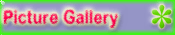 Picture Gallery