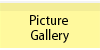 Picture Gallery