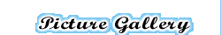 Picture Gallery