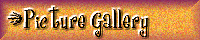 Picture Gallery