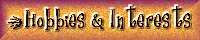 Interests & Hobbies