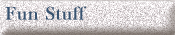 Fun