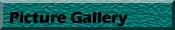Picture Gallery