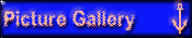 Picture Gallery