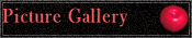 Picture Gallery