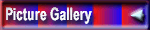 Picture Gallery