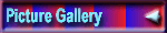 Picture Gallery
