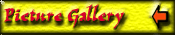 Picture Gallery