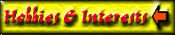 Interests & Hobbies