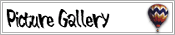 Picture Gallery