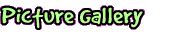 Picture Gallery