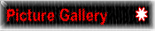 Picture Gallery