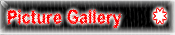 Picture Gallery