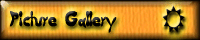 Picture Gallery