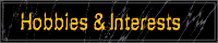 Interests & Hobbies