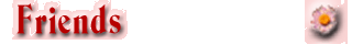 Friends