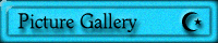 Picture Gallery