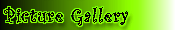 Picture Gallery