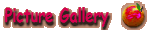Picture Gallery