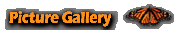 Picture Gallery