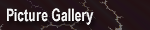 Picture Gallery