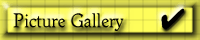 Picture Gallery